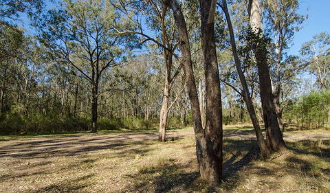 Scheyville Horse Riding Trails - Surfers Gold Coast 1