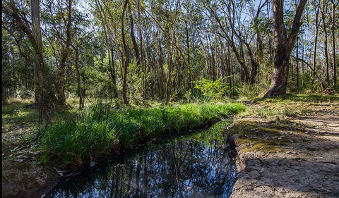 Scheyville Horse Riding Trails - Surfers Gold Coast 2