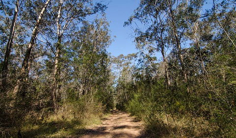 Scheyville Horse Riding Trails - Surfers Gold Coast 3