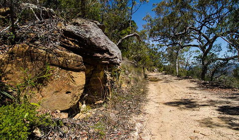 Canoelands Ridge Walking Track - Surfers Gold Coast 0