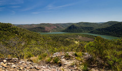 Canoelands Ridge Walking Track - Surfers Gold Coast 3