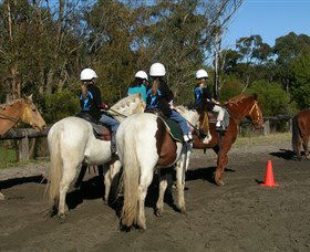 Darkes Forest Riding Ranch - Surfers Gold Coast 0