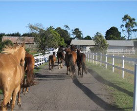 Darkes Forest Riding Ranch - Surfers Gold Coast 1