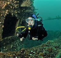 Ex-Hmas Adelaide Dive Site - Surfers Gold Coast
