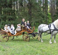 Classic Carriage Drives - Surfers Gold Coast