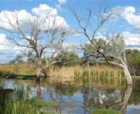 Lagoon Creek - Surfers Gold Coast 0