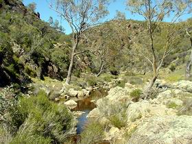 Saunders Gorge Sanctuary - Surfers Gold Coast 1