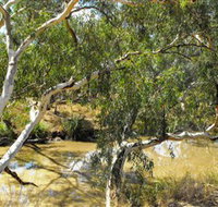 Quilberry Creek Fishing - Surfers Gold Coast