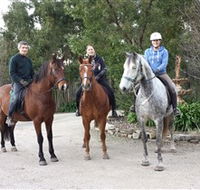 Academy of Dressage - Surfers Gold Coast