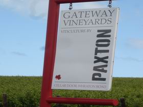 Paxton - Surfers Gold Coast 1