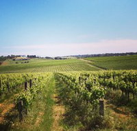 Adelaide Winemakers - Surfers Gold Coast