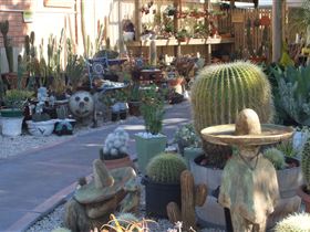 Cactus Creations - Surfers Gold Coast 0