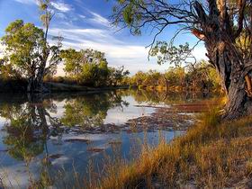 Murray River National Park - Surfers Gold Coast 0