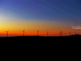 Cape Jervis SA Surfers Gold Coast