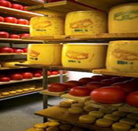 Alexandrina Cheese Company - Surfers Gold Coast