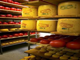Alexandrina Cheese Company - Surfers Gold Coast 0