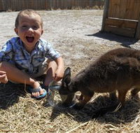 Animal Farm Goolwa - Surfers Gold Coast