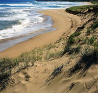 Newland Head Conservation Park - Surfers Gold Coast