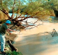Charleville - Ward River Fishing Spot - Surfers Gold Coast