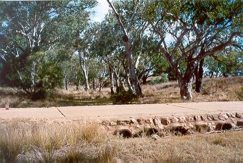 Charleville - Ward River Fishing Spot - Surfers Gold Coast 1