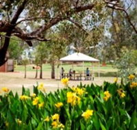 Charleville - Graham Andrews Parklands - Surfers Gold Coast