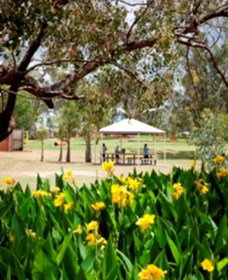 Charleville - Graham Andrews Parklands - Surfers Gold Coast 0