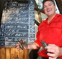 BAILEY BAR CARAVAN PARK - Surfers Gold Coast