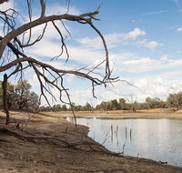 Toorale National Park - Surfers Gold Coast