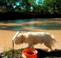 Charleville - 27 Mile Warrego River Fishing Spot - Surfers Gold Coast