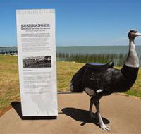 Birdman of the Coorong - Surfers Gold Coast