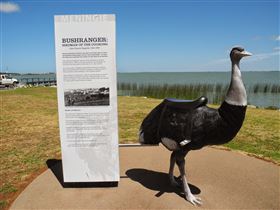 Birdman Of The Coorong - Surfers Gold Coast 0