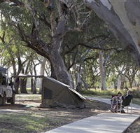Wallam Creek Bollon - Surfers Gold Coast