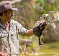 Territory Wildlife Park - Surfers Gold Coast