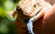 Territory Wildlife Park - thumb 5