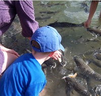 Aquascene - Surfers Gold Coast