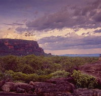 Nature's Way - Surfers Gold Coast