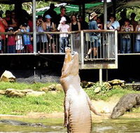 Crocodylus Park - Surfers Gold Coast
