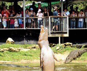 Crocodylus Park - Surfers Gold Coast 0