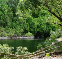 Broadwater Abergowrie State Forest - Surfers Gold Coast