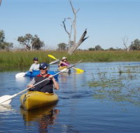 Marsh Meanders - Surfers Gold Coast