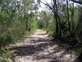 Lanky's Walk - Surfers Gold Coast 0