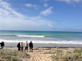 Beachport Surf Beach - Surfers Gold Coast 2