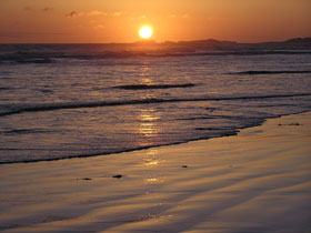 Beachport Surf Beach - Surfers Gold Coast 1
