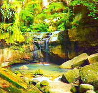 Carnarvon Gorge Carnarvon National Park - Surfers Gold Coast