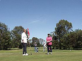 Hatherleigh Golf Course - Surfers Gold Coast 0