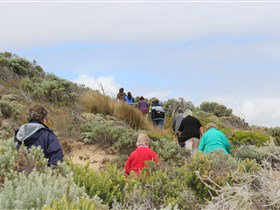 The Seaview Walking Trail - Surfers Gold Coast 2