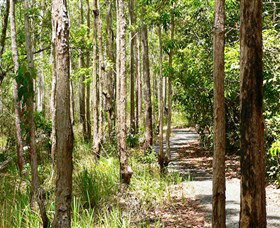 Hallorans Hill Conservation Park - Surfers Gold Coast 0