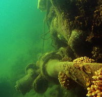 Wreck Diving at Magnetic Island - Surfers Gold Coast