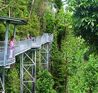 Mamu Tropical Skywalk - Surfers Gold Coast