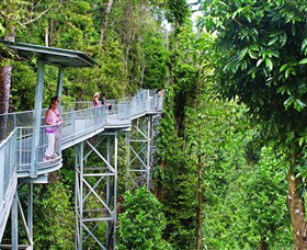 Mamu Tropical Skywalk - Surfers Gold Coast 0